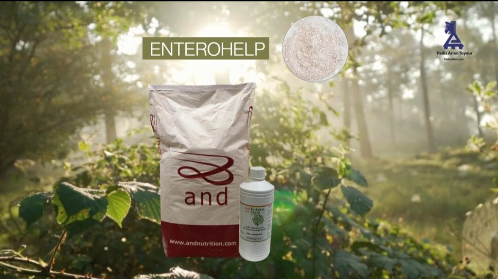 انترو هلپ ،ترکیب طبیعی آنتی میکروبیال قوی جهت حفظ سلامت روده مونوبوترین 30 درصداین محصول بی نظیر حاوی غلظت بالای مونوبوترین می باشد که باعث افزایش سلامت و عملکرد روده می گردد و به دلیل اینکه بوی بد بوتیرات ها را ندارد مصرف مطلوب تری ایجاد می نماید.